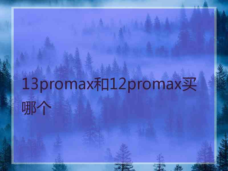 13promax和12promax买哪个