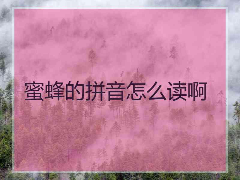 蜜蜂的拼音怎么读啊