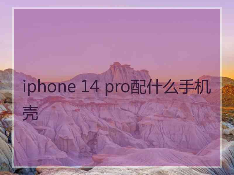 iphone 14 pro配什么手机壳