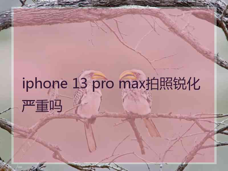 iphone 13 pro max拍照锐化严重吗