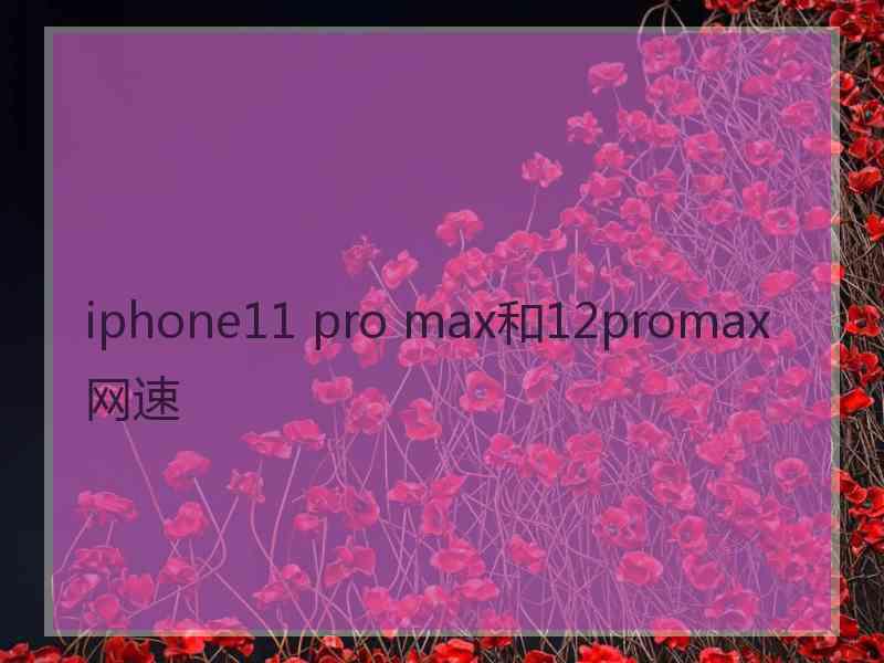 iphone11 pro max和12promax 网速