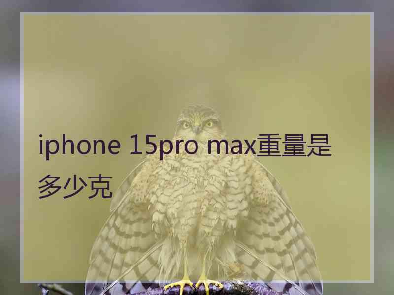 iphone 15pro max重量是多少克