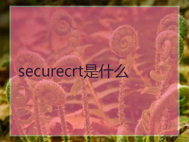 securecrt是什么