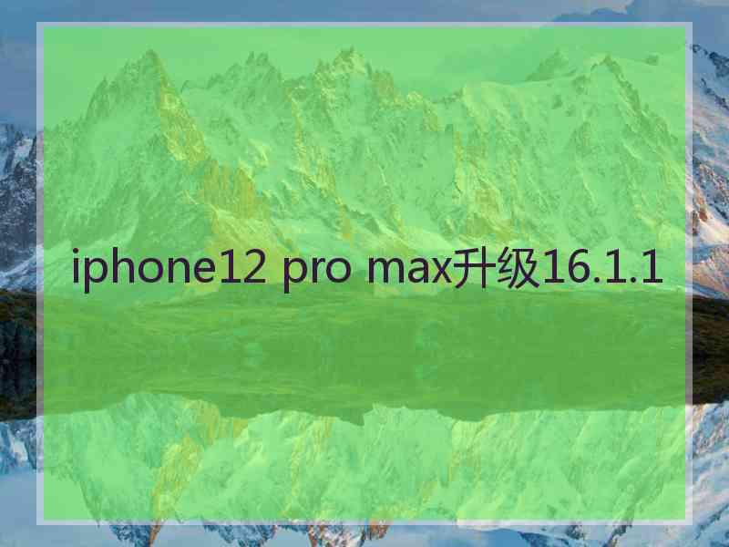 iphone12 pro max升级16.1.1