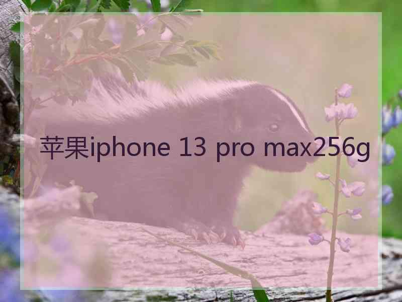 苹果iphone 13 pro max256g