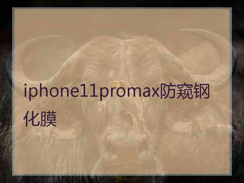 iphone11promax防窥钢化膜