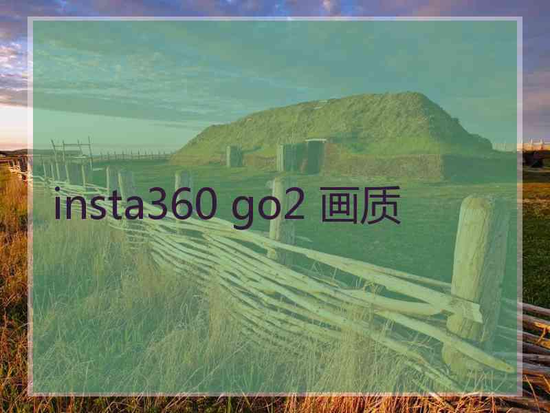 insta360 go2 画质