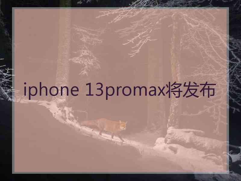 iphone 13promax将发布