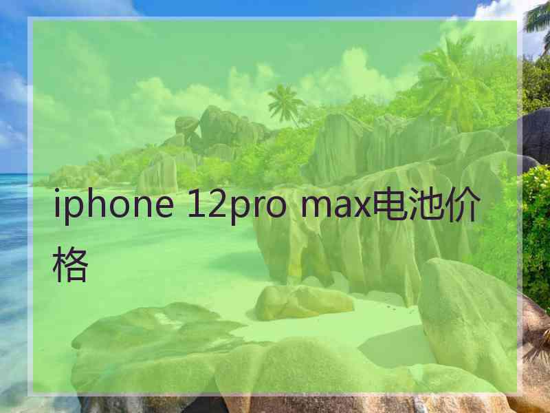 iphone 12pro max电池价格