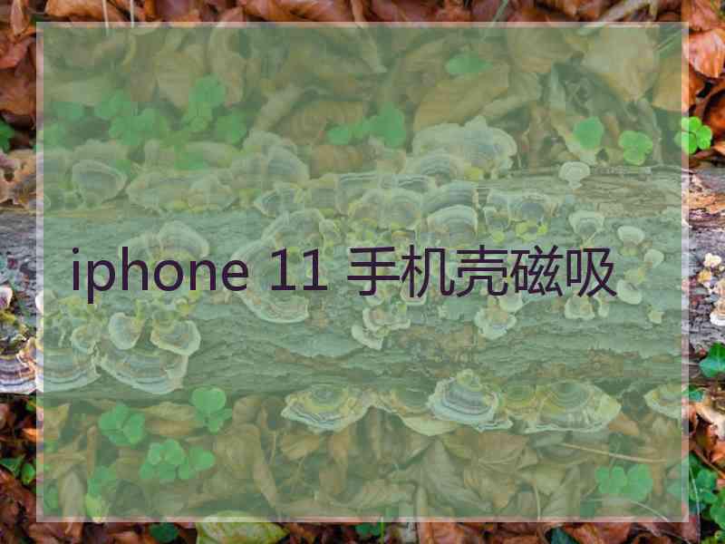 iphone 11 手机壳磁吸