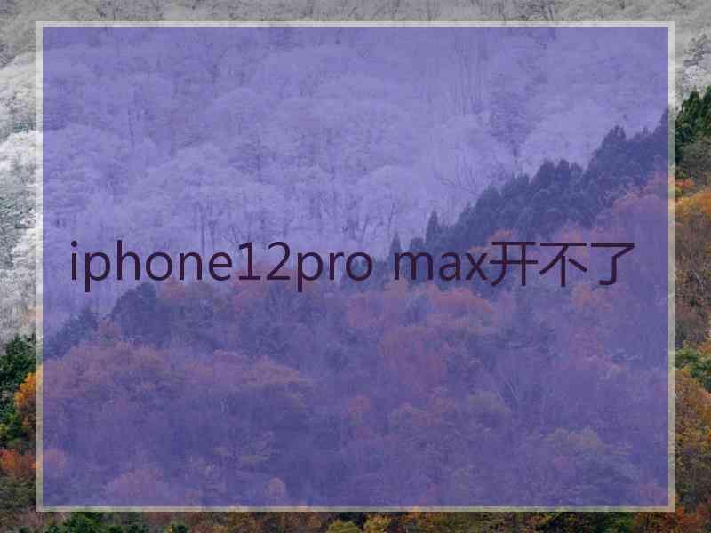 iphone12pro max开不了