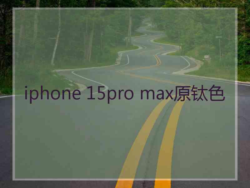 iphone 15pro max原钛色