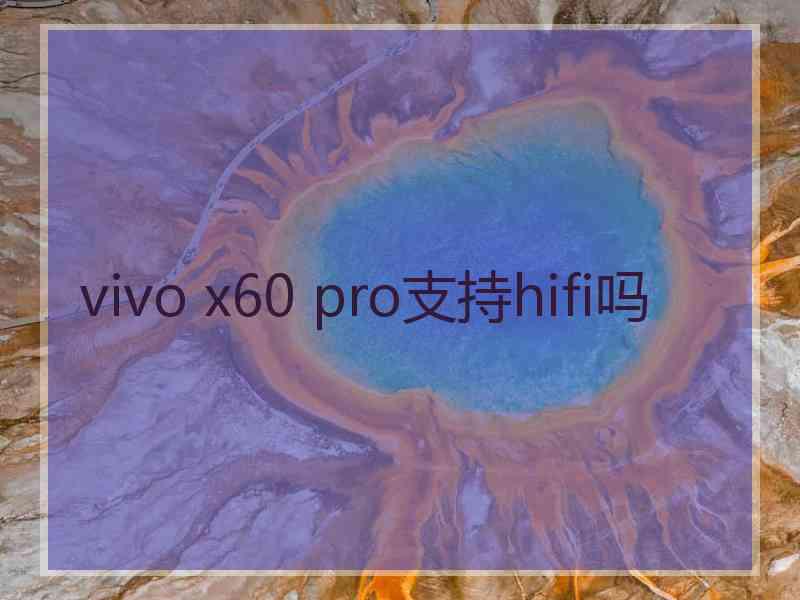 vivo x60 pro支持hifi吗