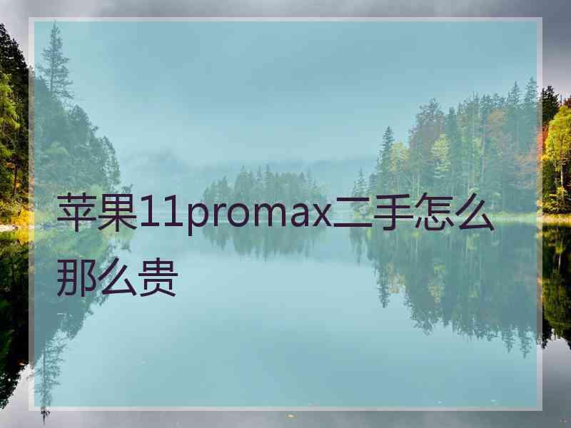 苹果11promax二手怎么那么贵