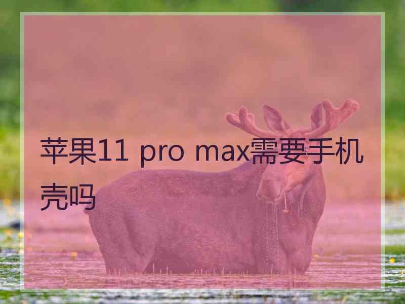 苹果11 pro max需要手机壳吗