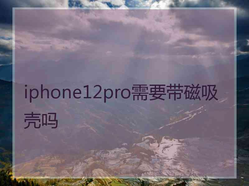 iphone12pro需要带磁吸壳吗