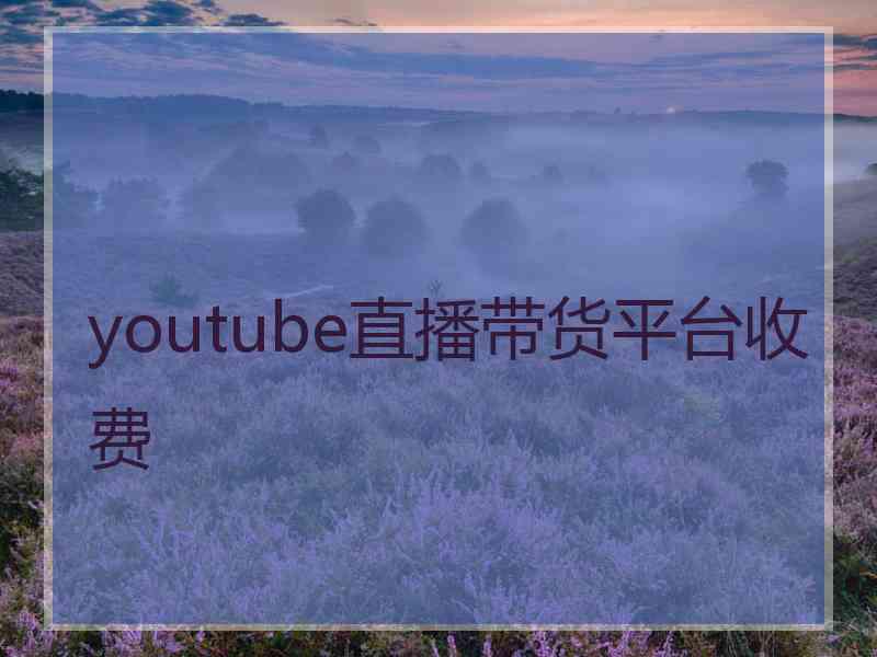 youtube直播带货平台收费