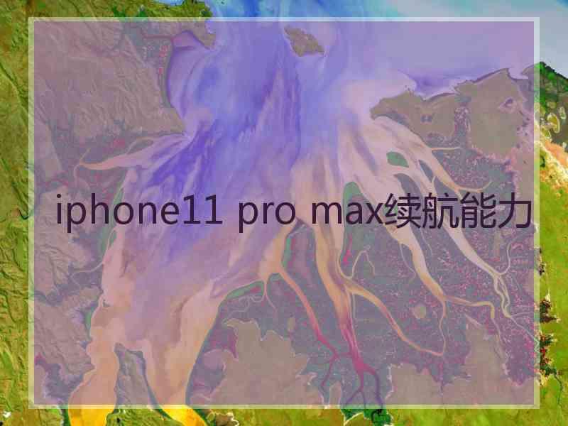 iphone11 pro max续航能力