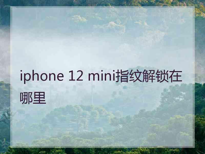 iphone 12 mini指纹解锁在哪里