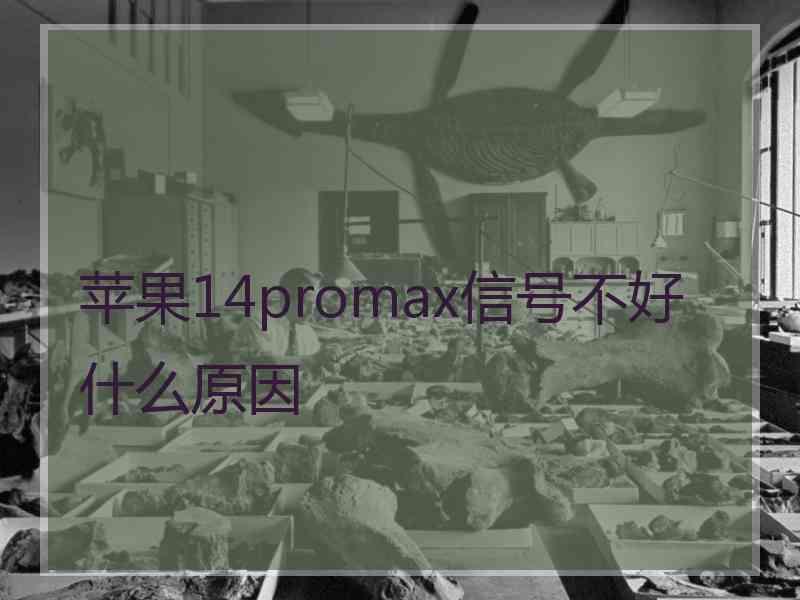 苹果14promax信号不好什么原因