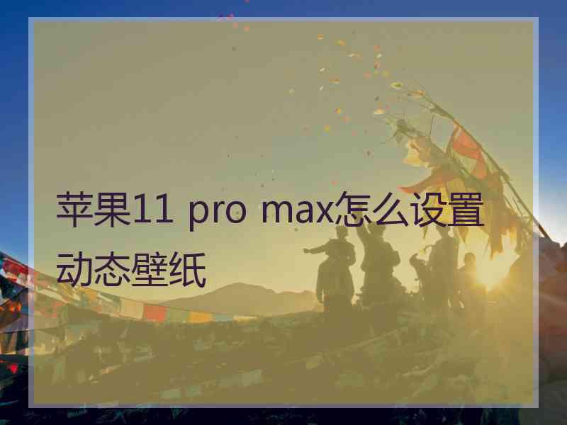 苹果11 pro max怎么设置动态壁纸