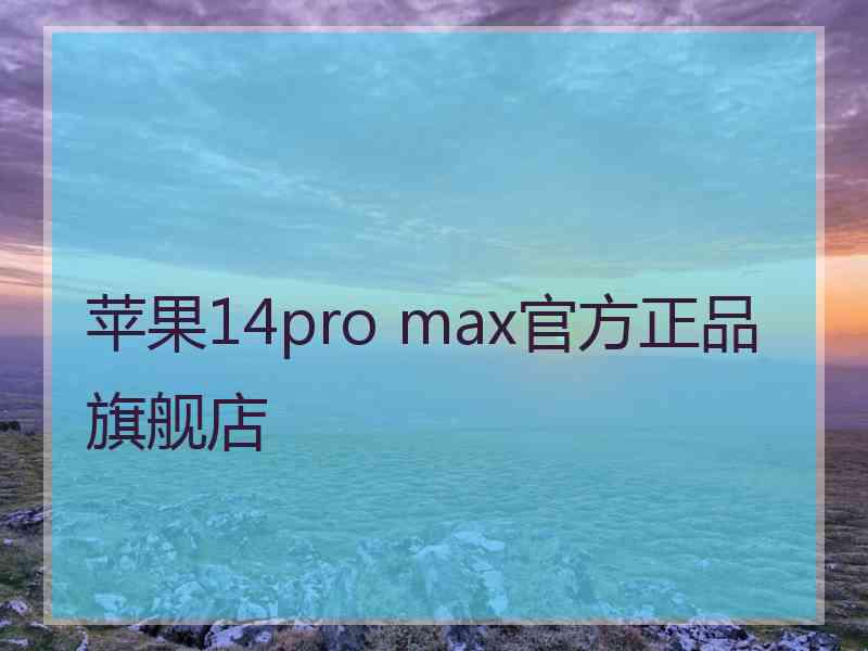 苹果14pro max官方正品旗舰店