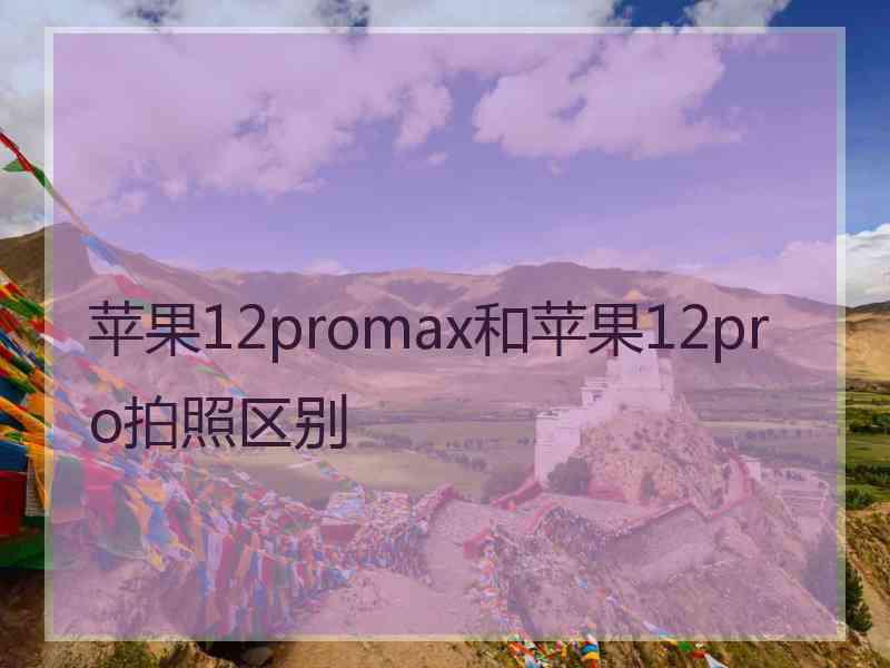 苹果12promax和苹果12pro拍照区别