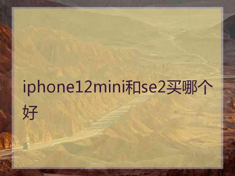 iphone12mini和se2买哪个好