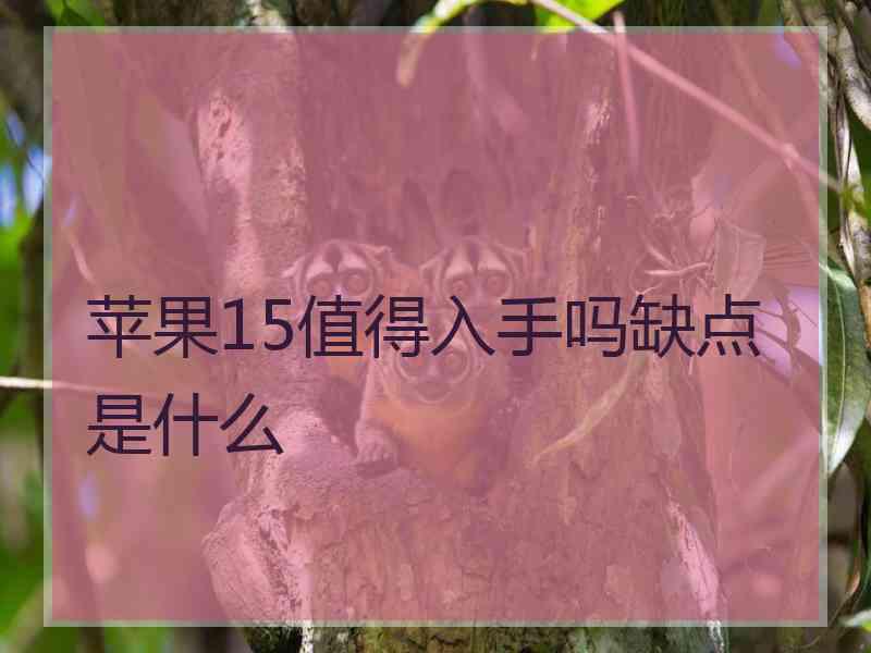 苹果15值得入手吗缺点是什么