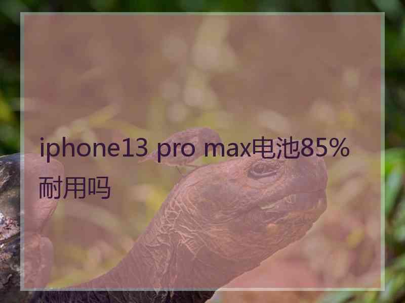 iphone13 pro max电池85%耐用吗