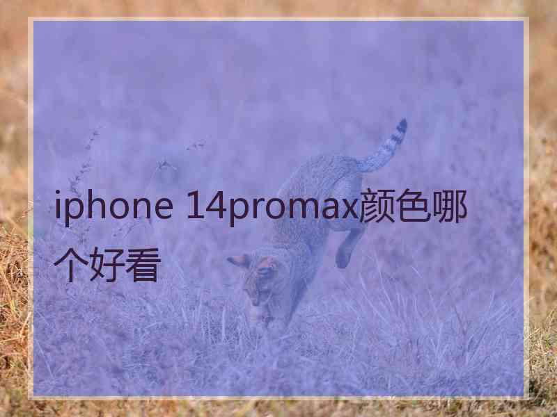 iphone 14promax颜色哪个好看