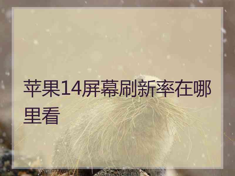 苹果14屏幕刷新率在哪里看